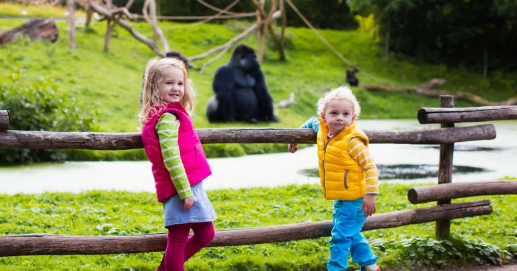 2 Babies in a Zoo - Zoo and Zoo Laws in California - Johnson Attorneys Group